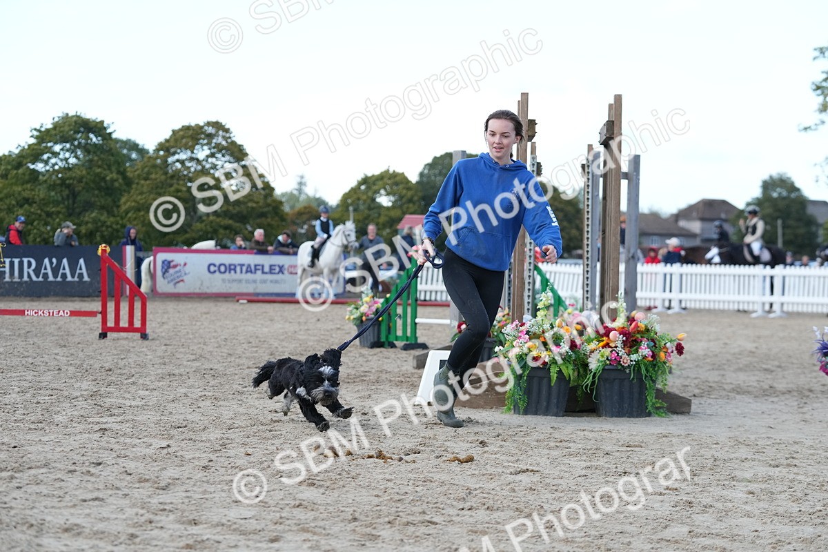 SBM_29183 - J43 - Horse & Hound Open 50cm