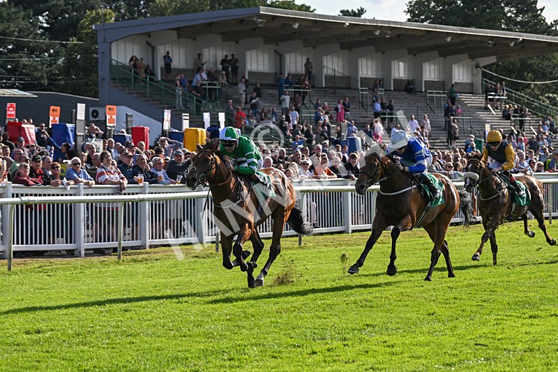 160824-Race 2-Dark Cloud Rising-8919 - Race 2