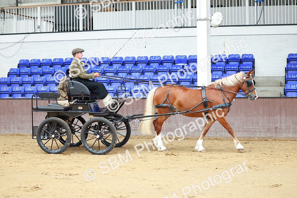 SBM_000616 - Class 11 - Peter Howell Memorial Gentlemen Whip