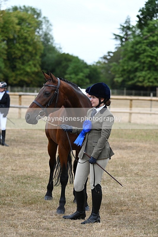 WJ7_9254 - Class 4a Prettiest Mare 14.2hh and over