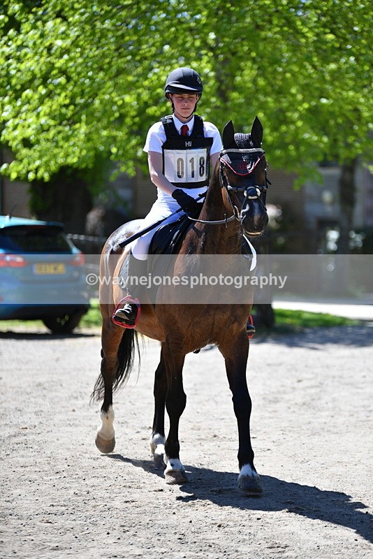 WJ5_7497 - 80cm time 12:47 to 13:39