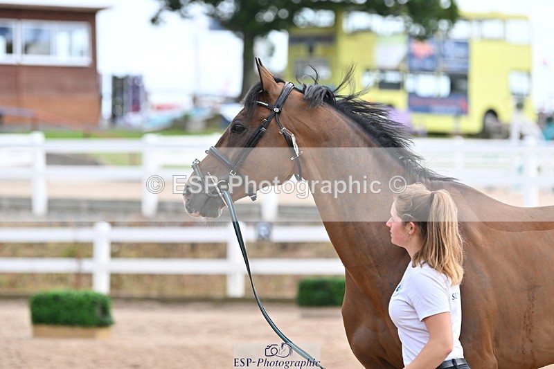 240717A-142802-02076 - Trot Up 2pm to 3pm - This folder is not in time order