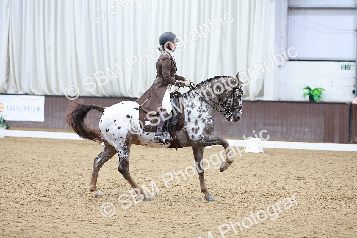 SBM_021372 - Class 14 - FEI Grand Prix - 17.40-18.34
