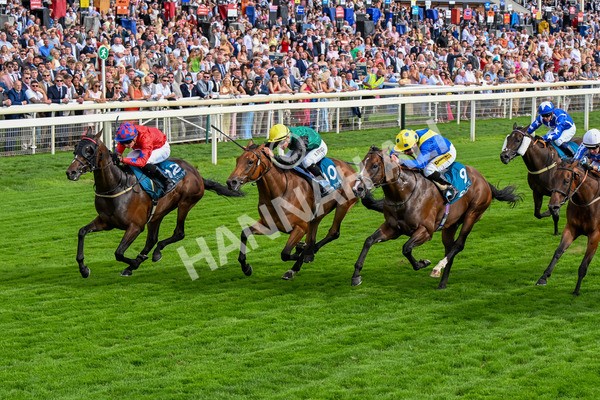 260725-Race 7-Chesneys Charm-0911 - Race 7 5.00pm Sky Bet Extra Places Every Day Handicap