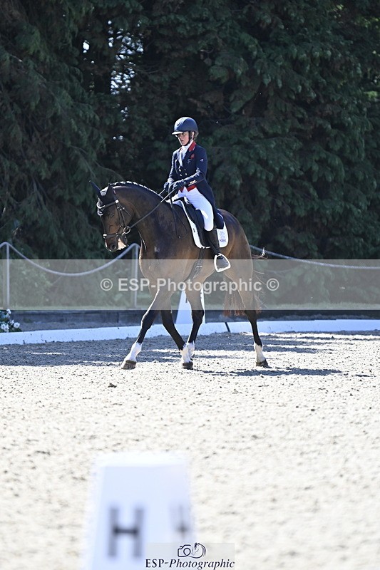 250522A-101414-02648 - B-310-Kitty.King-LISCARROW.FERNHILL