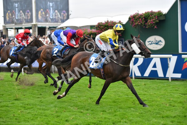 yr09102021r7-31 - Race 7 5.00pm Coral Proud Sponsors Of British Racing Finale Handicap