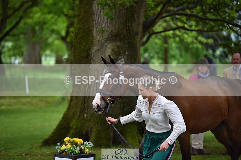 240522-163642-01045 - 214-DSH_GOLDEN_EYE-Lucinda_Mesquita