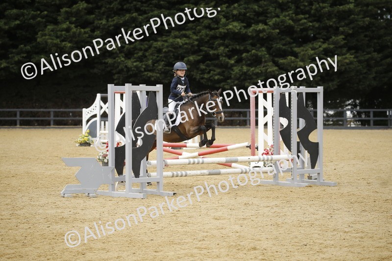 20250622-6010 - 60cm