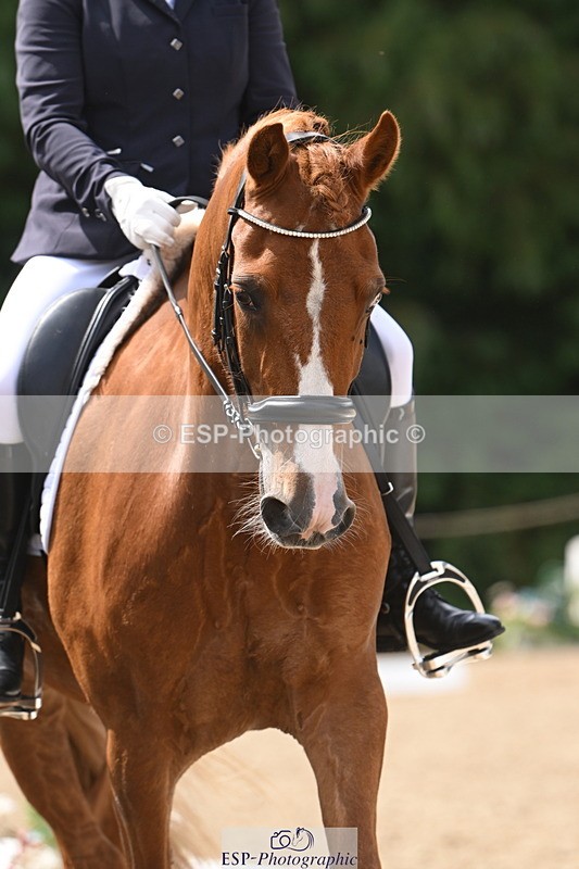 250720A-114614-09996 - 142-Jane.Emmett-Tresorya.Carlo