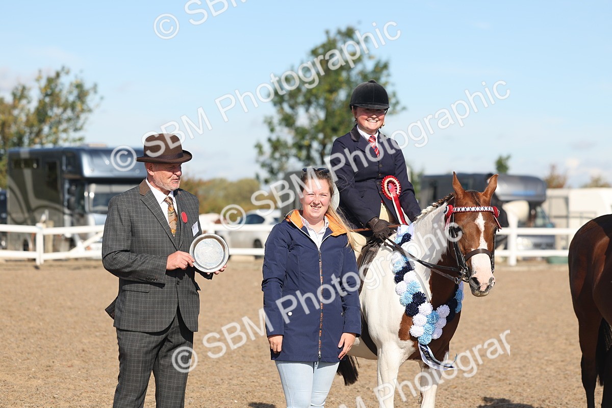 SBM_12399 - Class 304 - Ridden part Bred Horse Pony