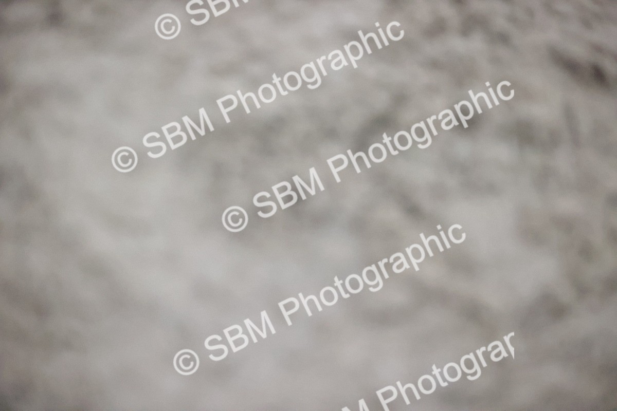 SBM_002839 - Class 7 - 1.00m-1.10m