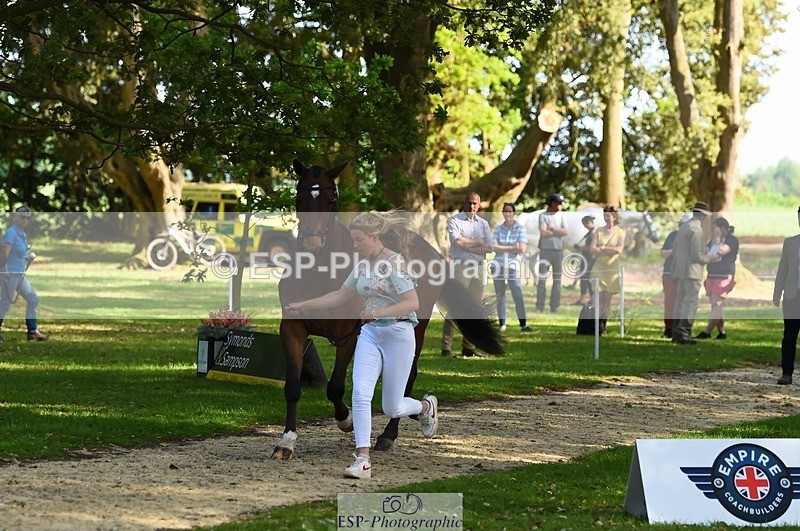 230524-170730-01292 - 154-GELUK_G-Molly_Adams-WEDTrotUp+DR