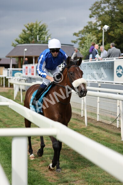yr04092022r1-2 - Race 1 1.45pm IRE Incentive, It Pays To Buy Irish EBF Novice Stakes