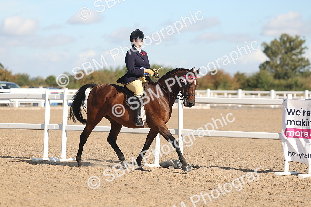 SBM_12439 - Class 304 - Ridden part Bred Horse Pony