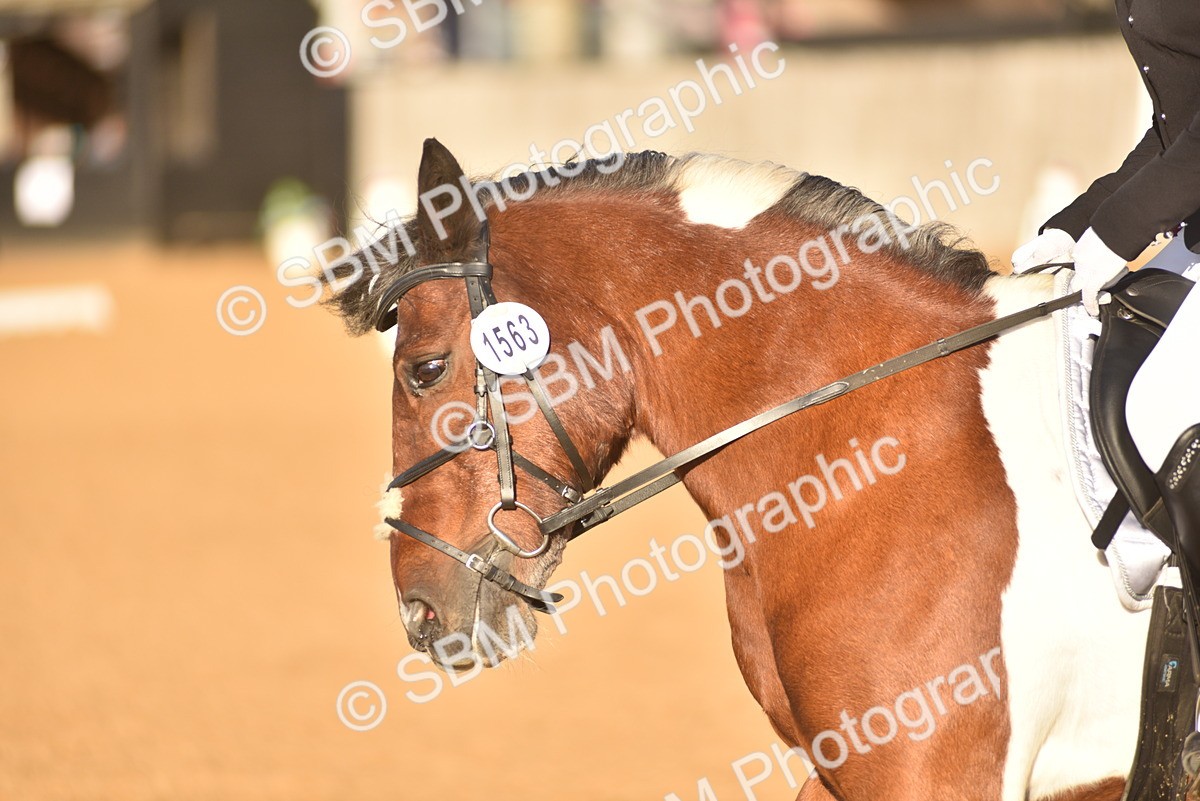 SBM_53388 - D24 - Junior Championship Prelim 3