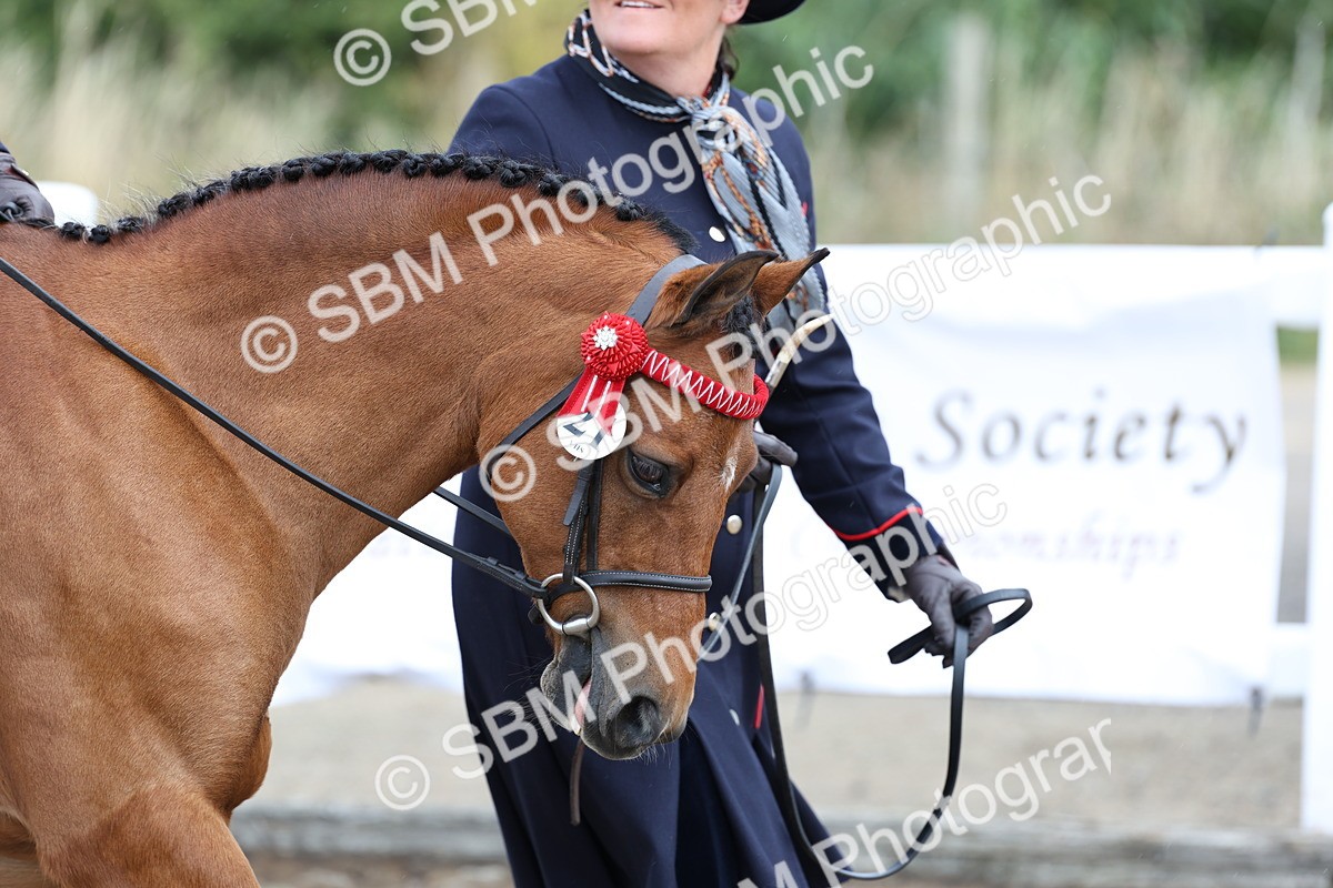 SBM_01401 - Class 51 - Best Turned Out Ridden