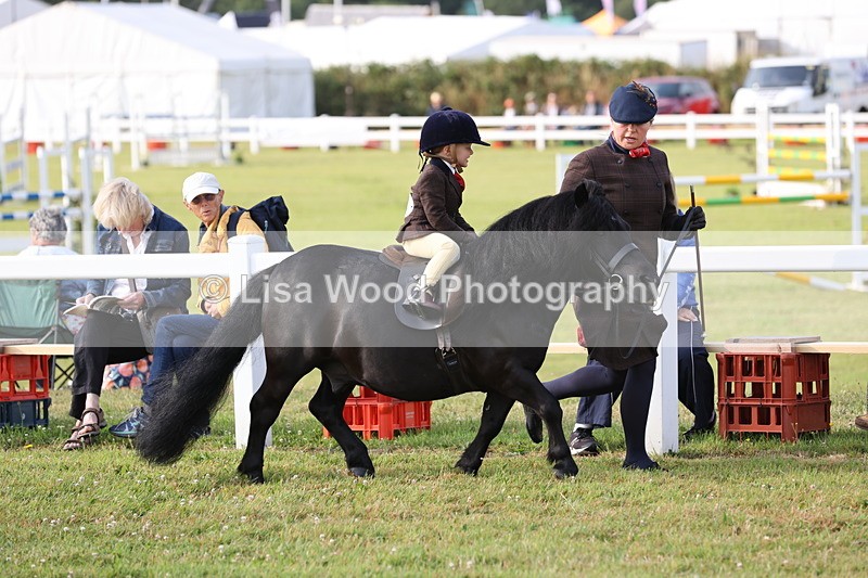 JPP_0283 - Class 14: Cornish Combination Leading Rein