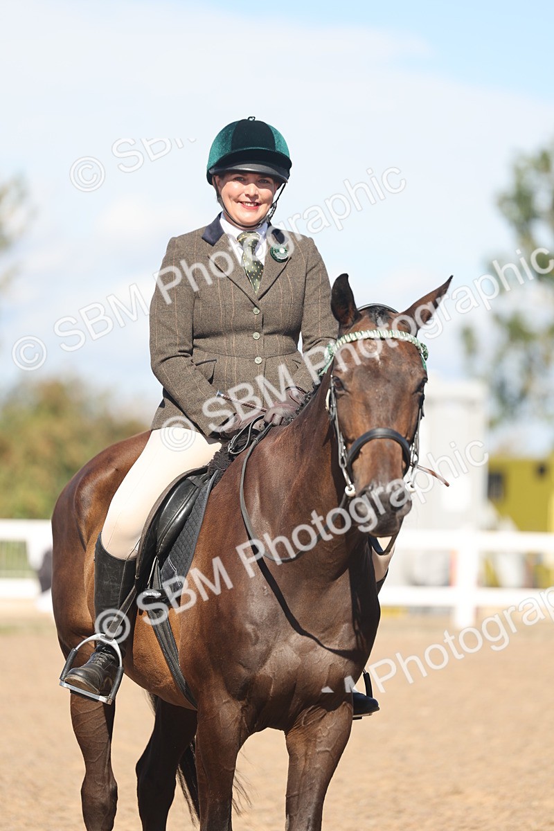 SBM_13113 - Class 305 - Ridden Foreign Breed Pure Bred