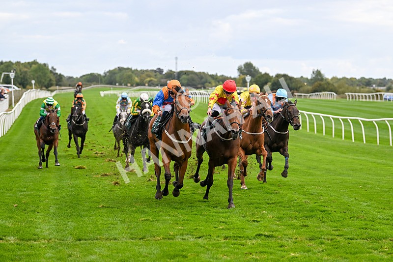 021024-Race 5-Homer Stokes-9541 - Race 5