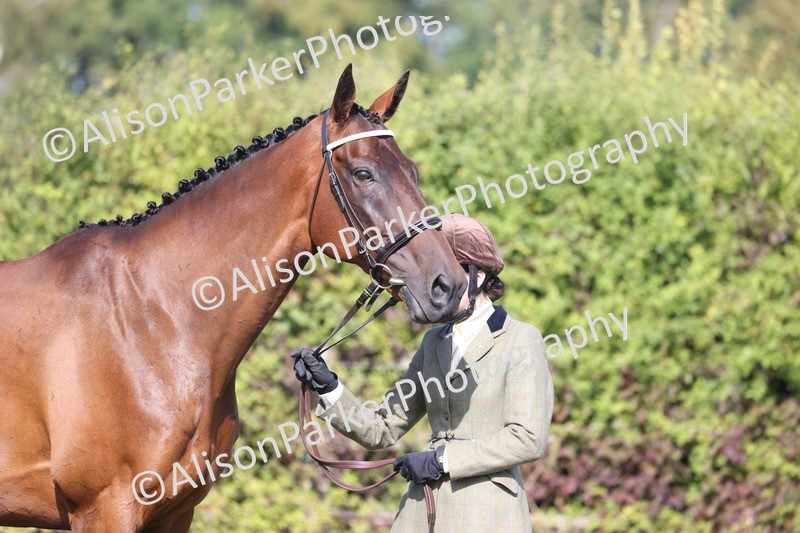 20260906-0691 - Class 22 - Ex Racehorse