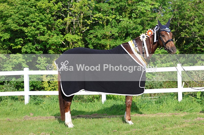 3E7A0293 - Verity Perry