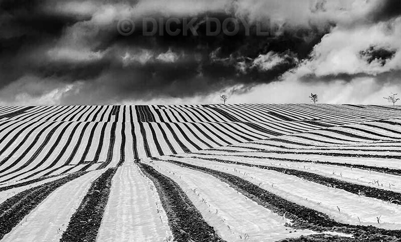 Downpour on the horizon - Minimalist landscapes