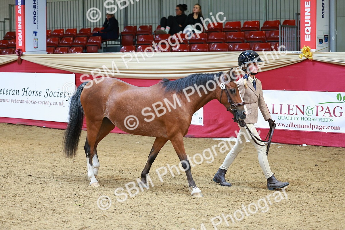 SBM_04253 - Class 9R - IH Pre-Vet