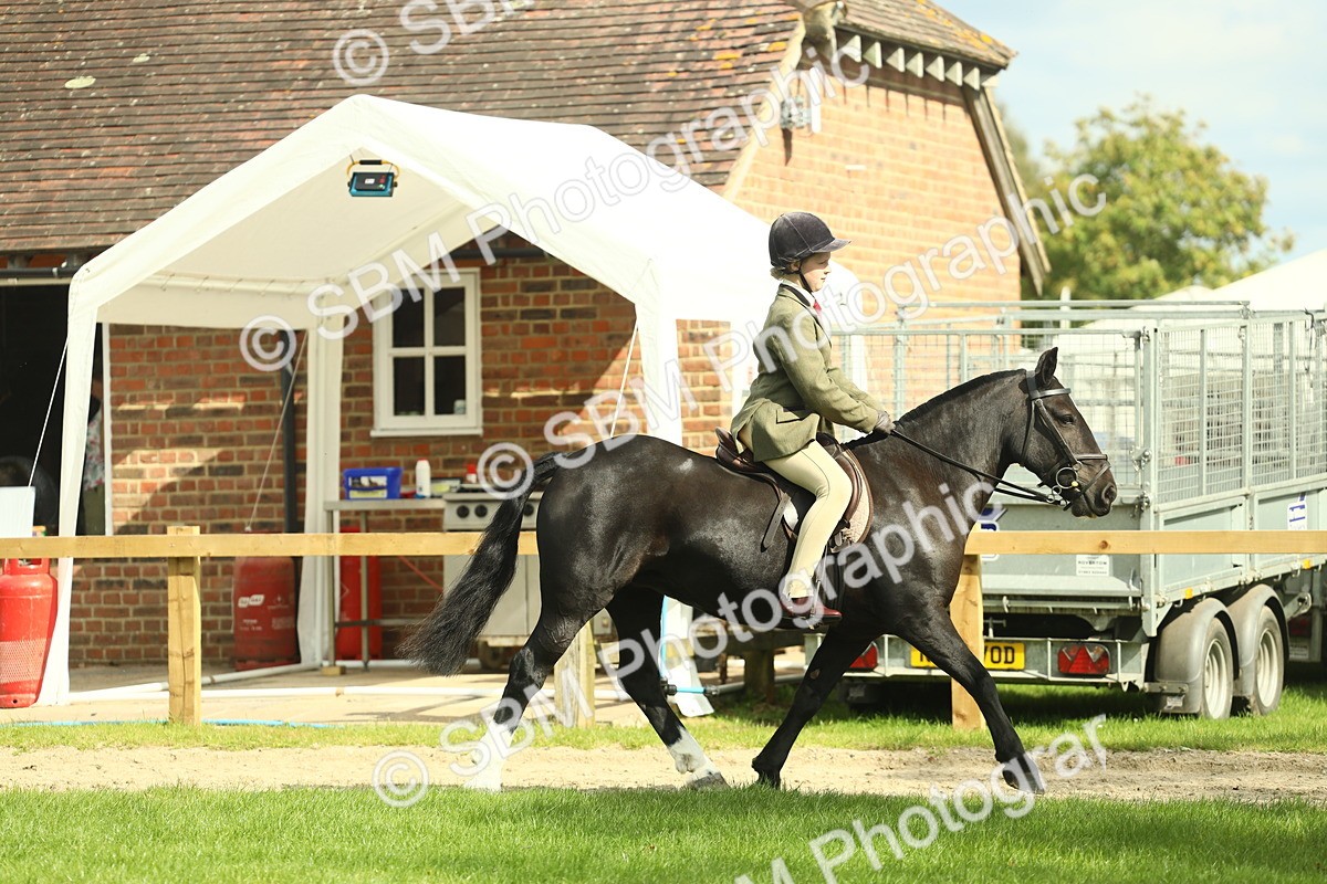 SBM_44906 - Working Hunter Pony Supreme Championship