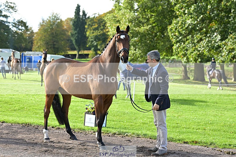 241023-131055-00114 - 006-Mark.Ford-ALVESCOT.FIVE.STAR