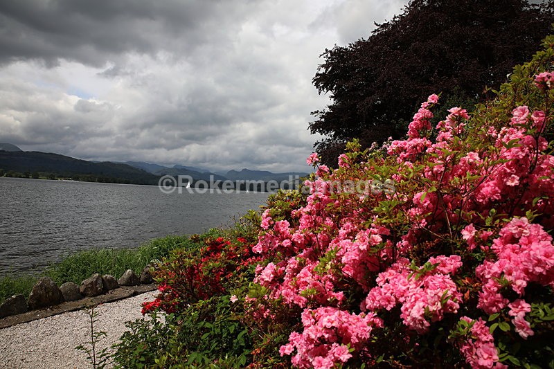 356A9384 - Lake District June 2017