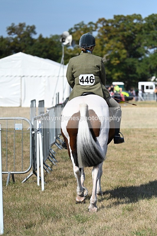 WJ7_3100 - Class 8 Ridden Tack & Turnout