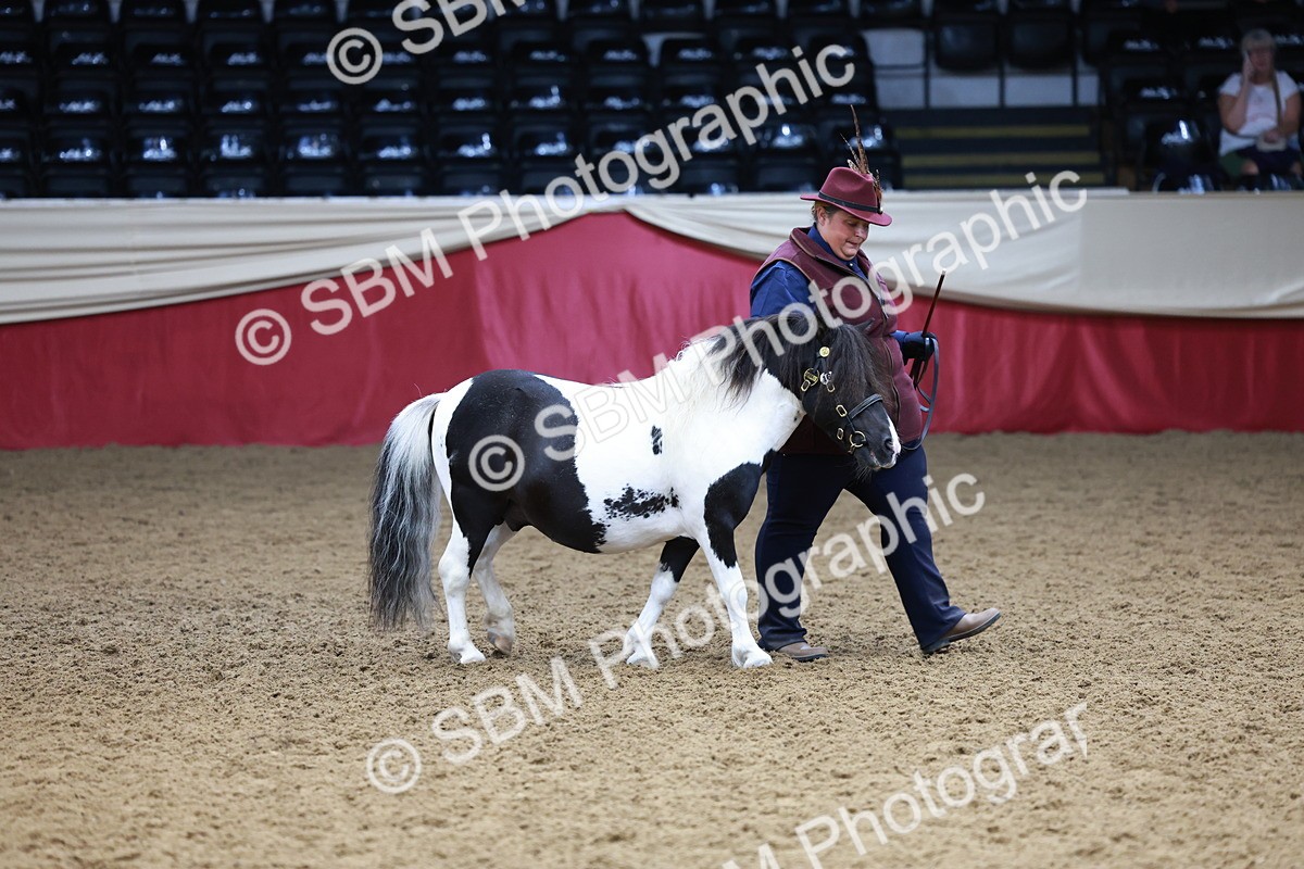 SBM_17325