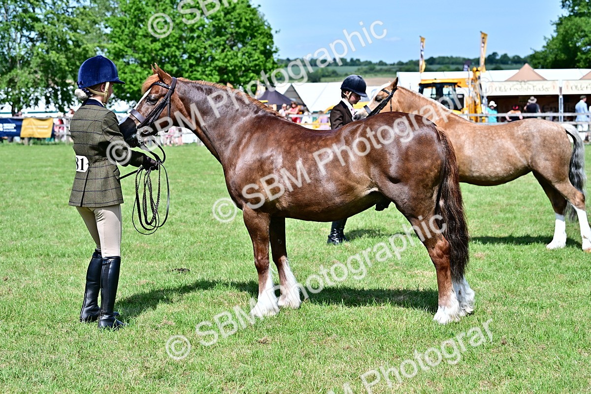 SBM_08049 - Class 61-62 - TSR  M&M Ridden Amateur of the Year