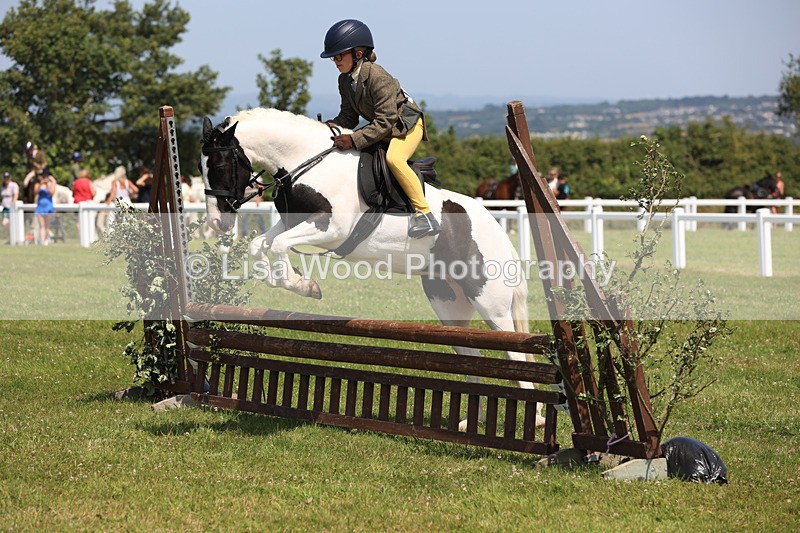 JPP_3081 - Class 22: Working Hunter 70cm