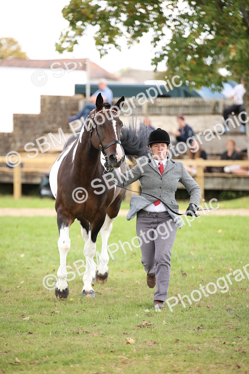 SBM_44473 - S24 - Young Veteran in hand