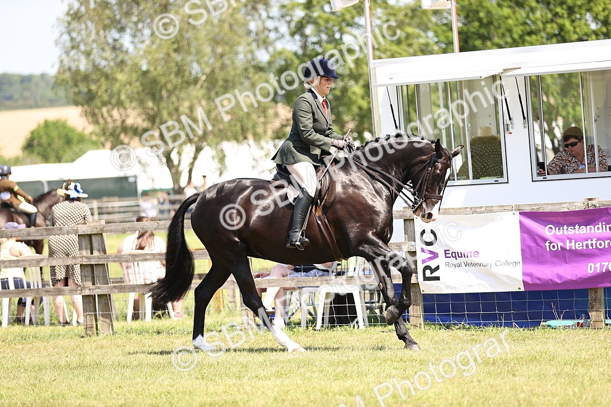 SBM_15074 - Class 79-80 - LIHS BSHA Rising Star Ridden Hunter