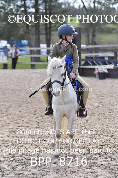 BPP_8716 - TRAINING STAKES