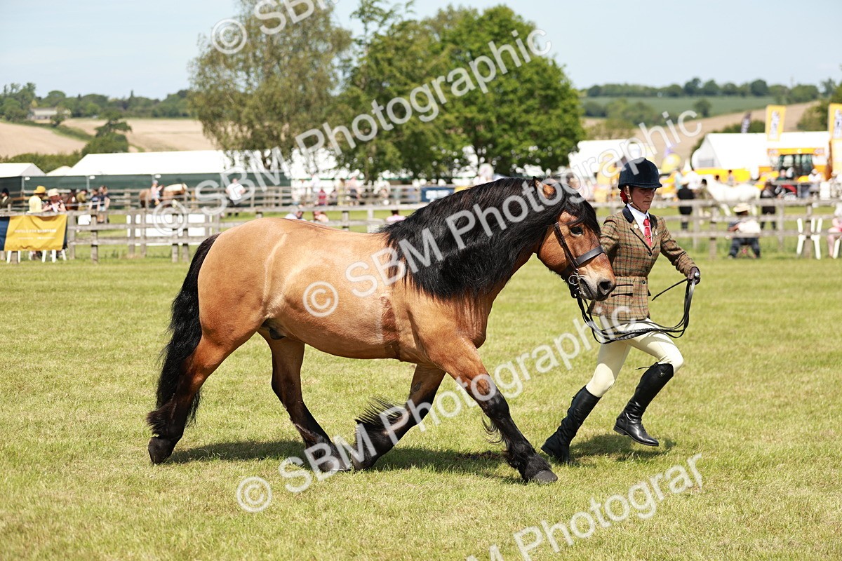 SBM_07159 - Class 26-30 - Mountain and Moorland Ridden