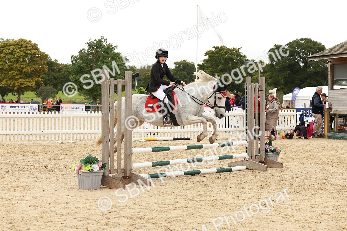 SBM_62017 - J12 - Junior Pony 55cm Championship