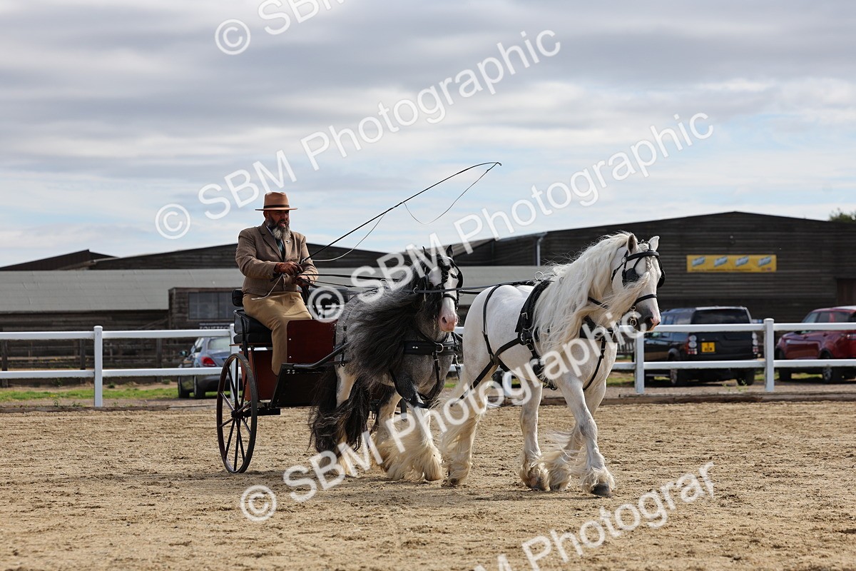 SBM_001223 - Class 16 - Pairs ,Multiples and Tandems