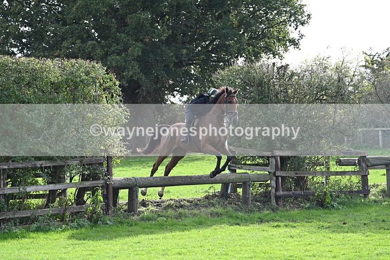 WJ7_0937 - Time 14:27 to 15:11