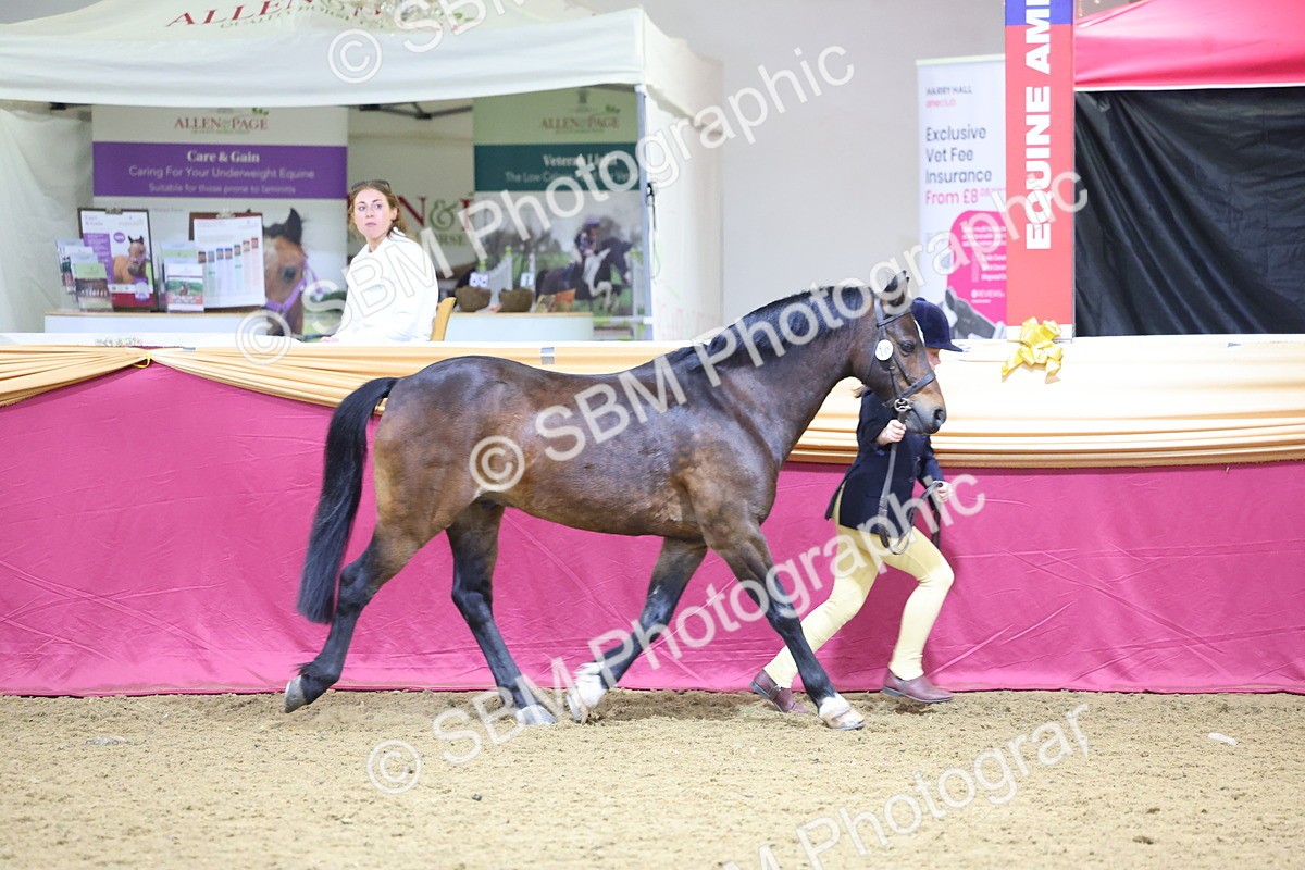 SBM_18577 - Class B Junior Champ 11-16 years