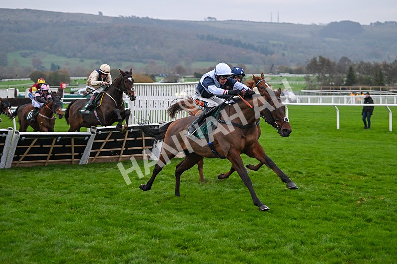 151124-Race 6-Balhambar-8913 - Race 6