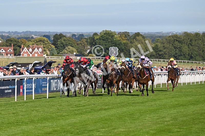220926-Race 6-Coolree-4695 - Race 6 4.25pm Fango Handicap (Div I)