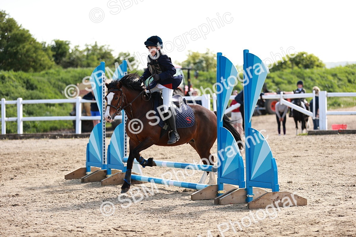 SBM_006909 - Class 2 - 50cm