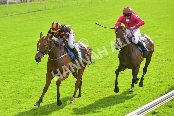 yr24092021r1-143 - Race 1 1.10pm Ernest Cooper Macmillan Ride of Their Lives