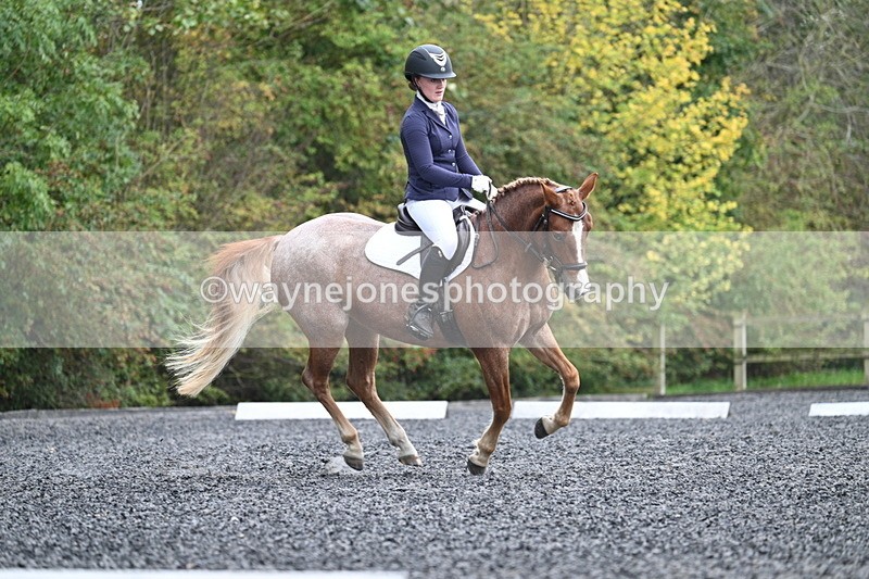 WJ7_3761 - Time 11:04 to 11:38