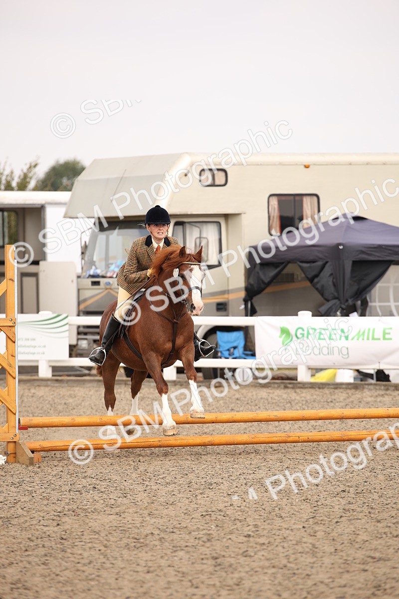 SBM_12261 - Class 405a - M&M Working Veteran 50cm (15-19)