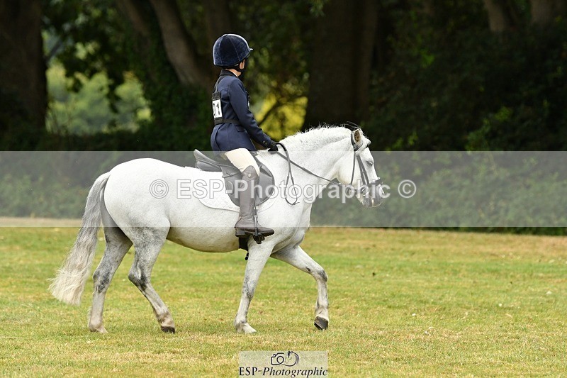 250820A-120915-05472 - 12 to 13.00