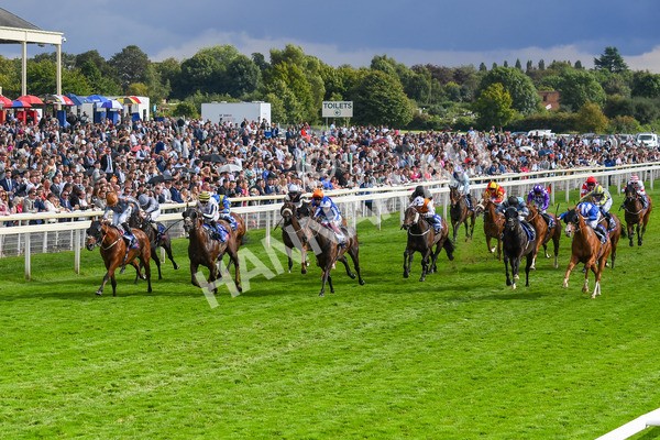 260823-Race 5-Summerghand-Albasheer-0755 - Race 5 Sky Bet Constantine Handicap